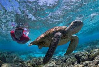 Lady Elliot Island Eco Resort Екстериор снимка