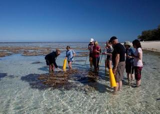 Lady Elliot Island Eco Resort Екстериор снимка